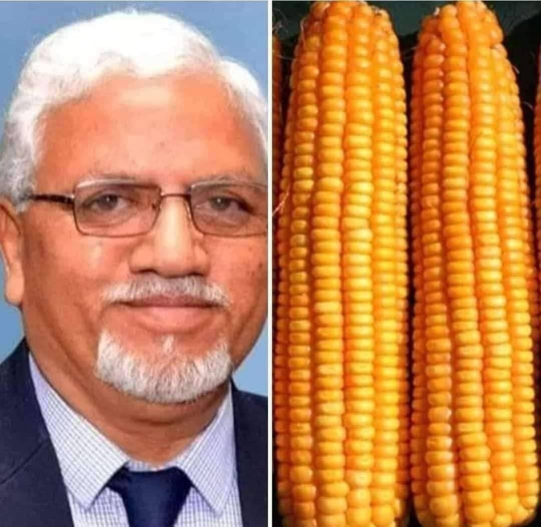 BDJade1's tweet image. अब चर्चा तो होगी !
चर्चा मे है मक्का फसल !!
सारी ओर मक्का है चर्चा मे...
किसानोंकी उम्मीद !!!
मक्का उपज १०० कुंतल प्रती एकड |
जुडीए हमसे और जानीए बहुत कुछ|
- डॉ.बी डी जडे, 
वरीष्ठ कृषी वैज्ञानिक,
जैन इरीगेशन सिस्टीम्स लि.
#AjitJisl #Anil_JISL #JainIrrigation 
#DDKisan #DDSahyadri