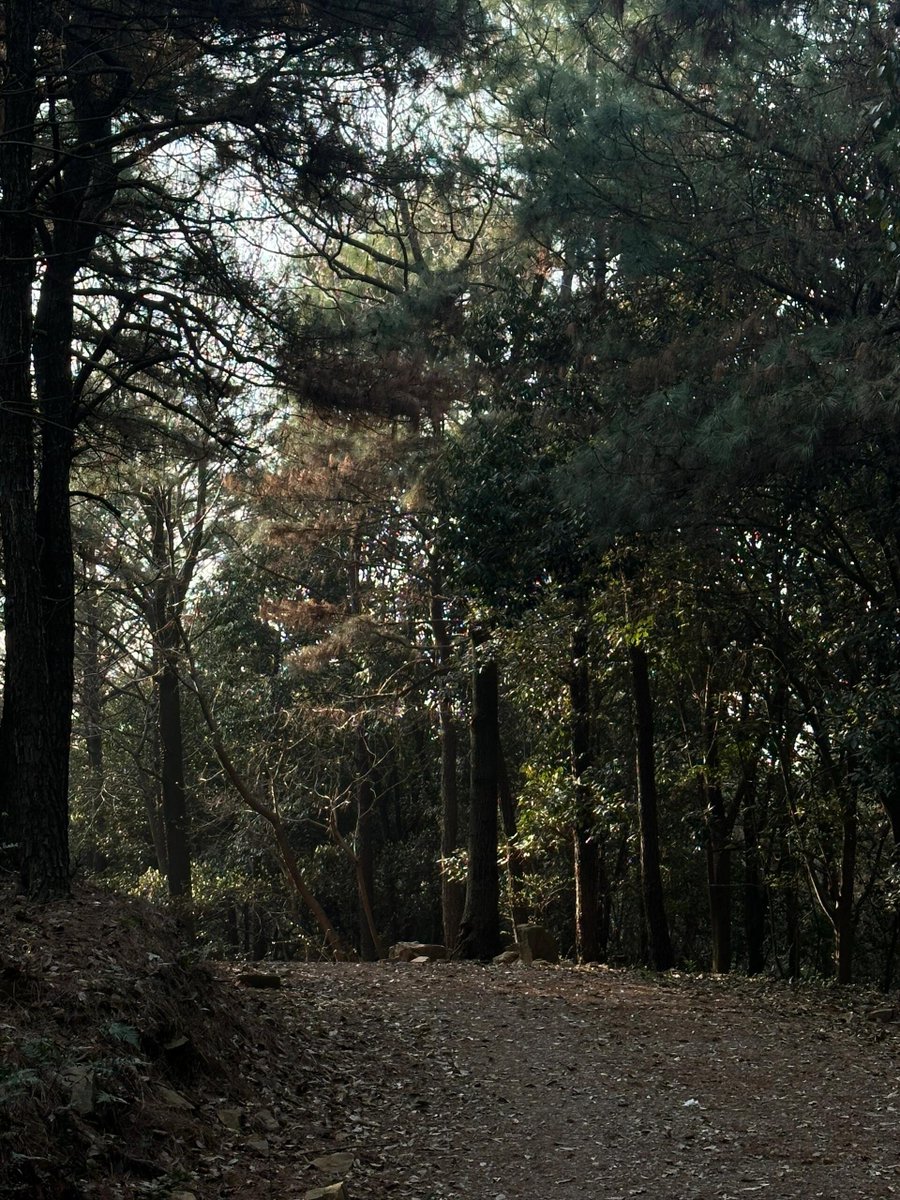 Enjoy a weekly okm walk