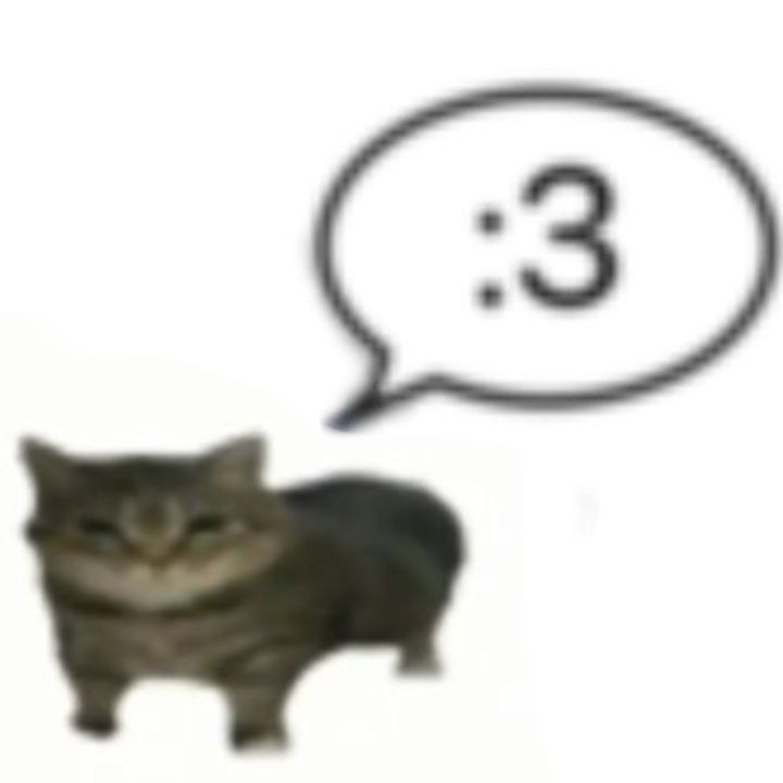 vercitas's tweet image. Help rt? thank u 🤍🐈‍⬛

HeLlaUr ~ Mine kembali dengan 12 layout gi, hsr, zzz, wuwa dan ptn yang bisa ditake sekarang juga lewat dm ! Prici only 12k, avail QRIS yuk jajank ~

#zonauang #zonajajan #zonaba