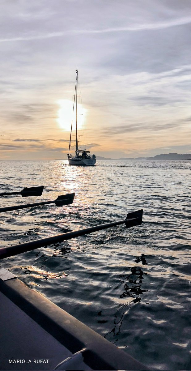 MariolaGuia's tweet photo. Remar temprano una gozada... https://t.co/KCf8OXt6vU