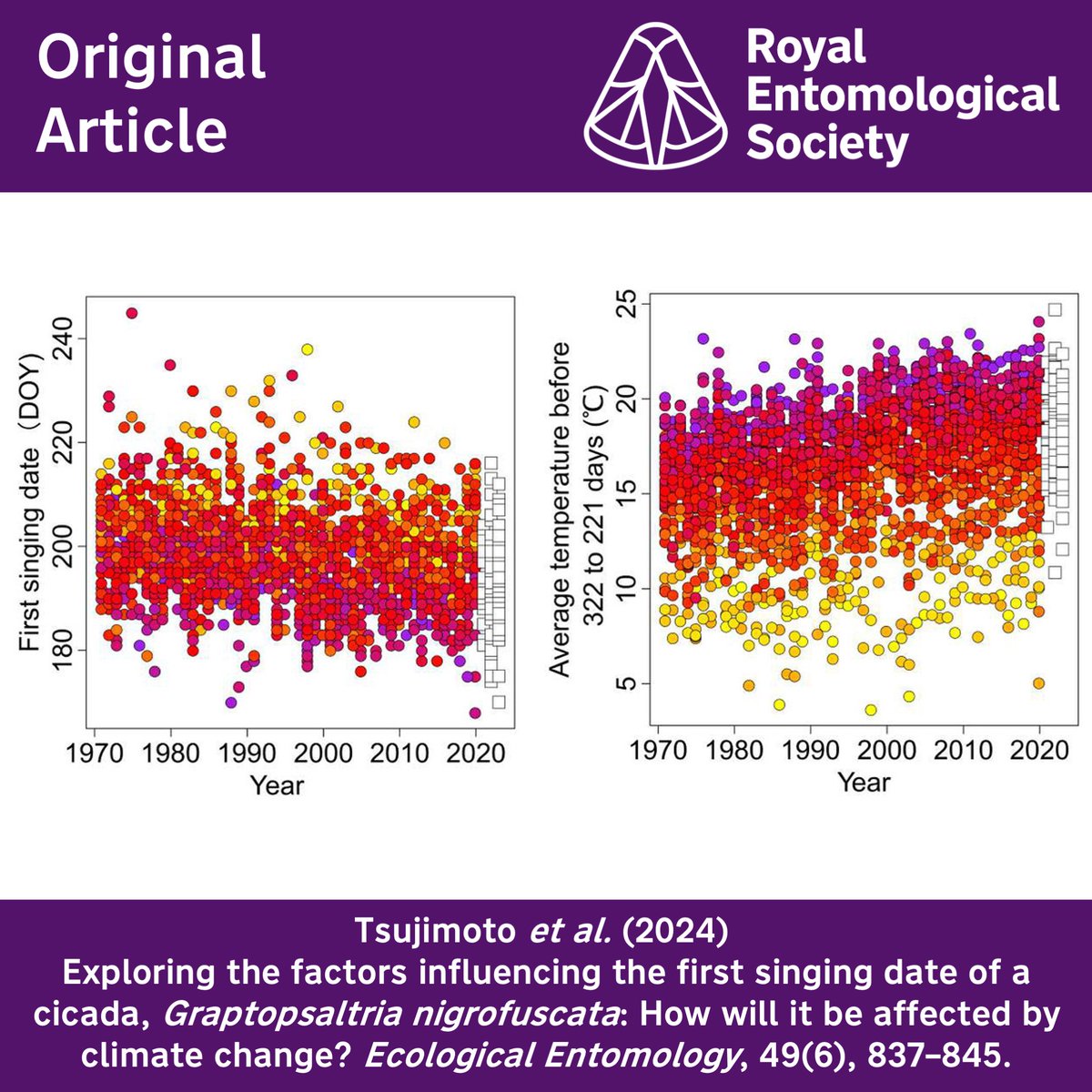 Ecological Entomology (@ecol_ent) on Twitter photo How will increasing temperatures affect Cicada emergence?🌡️
Tsujimoto et al. explore the subject in the current issue of #EcologicalEntomology⬇️
resjournals.onlinelibrary.wiley.com/doi/10.1111/ee…
<a href="/WileyEcolEvol/">Wiley Ecology & Evolution</a> <a href="/RoyEntSoc/">Royal Entomological Society</a> <a href="/jnishihiro/">Jun Nishihiro / 西廣 淳</a> How will increasing temperatures affect Cicada emergence?🌡️
Tsujimoto et al. explore the subject in the current issue of #EcologicalEntomology⬇️
resjournals.onlinelibrary.wiley.com/doi/10.1111/ee…
<a href="/WileyEcolEvol/">Wiley Ecology & Evolution</a> <a href="/RoyEntSoc/">Royal Entomological Society</a> <a href="/jnishihiro/">Jun Nishihiro / 西廣 淳</a>