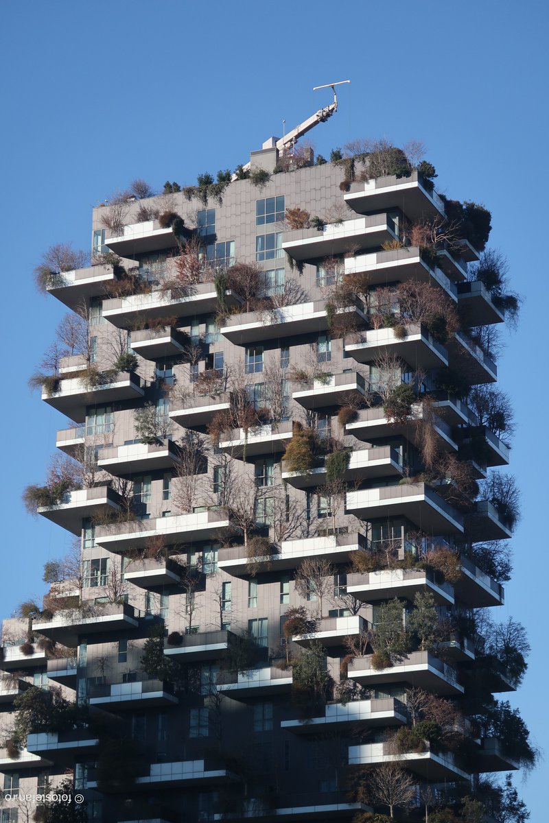 FotoStefan's tweet photo. Bosco Verticale in Milan #milanocity #buildings #plants #buildingplants #verticalforest #travelphoto #welltravelled #travelmemories #citytravel #Eurotrip #bestplacestogo #piazzagaeaulenti #architecture #portanuova #milanodavedere https://t.co/WE8OdAkyl4