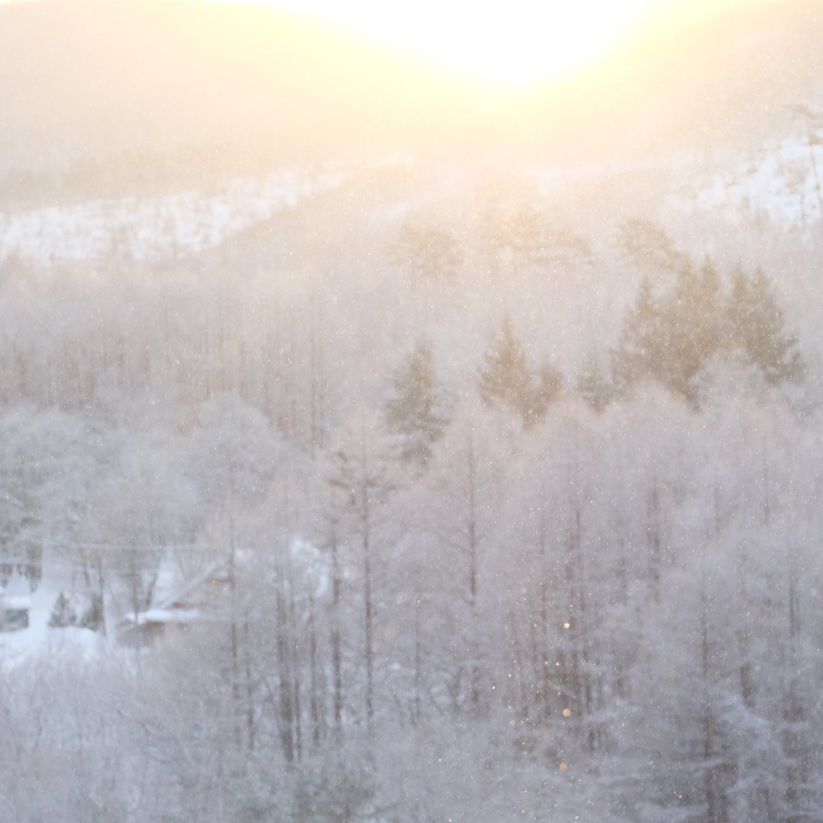 -13.5℃