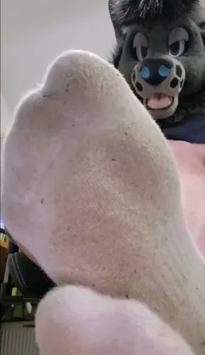 CashGodHazard's tweet photo. I just received Dirty socks from Loser ****** fox via Throne. Thank you! https://t.co/SoQCiMrzTg #Wishlist #Throne https://t.co/oUOAWcK41k