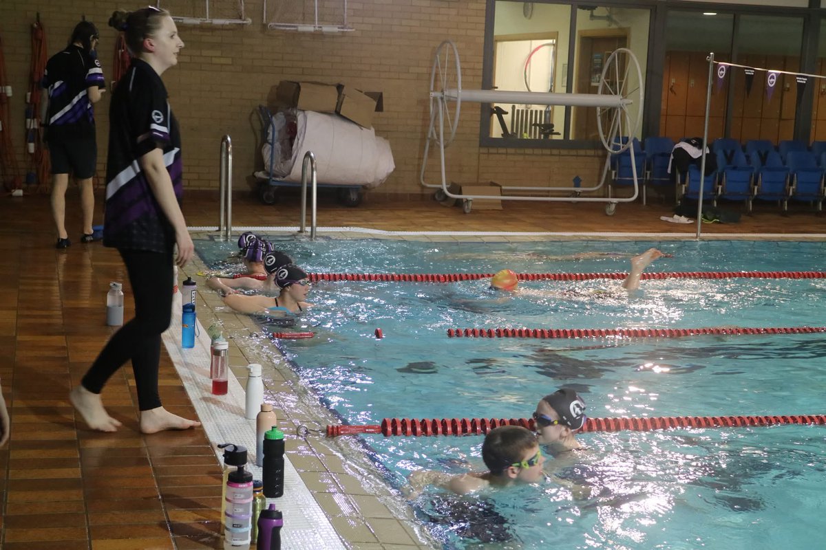 Leicester penguins tweet media