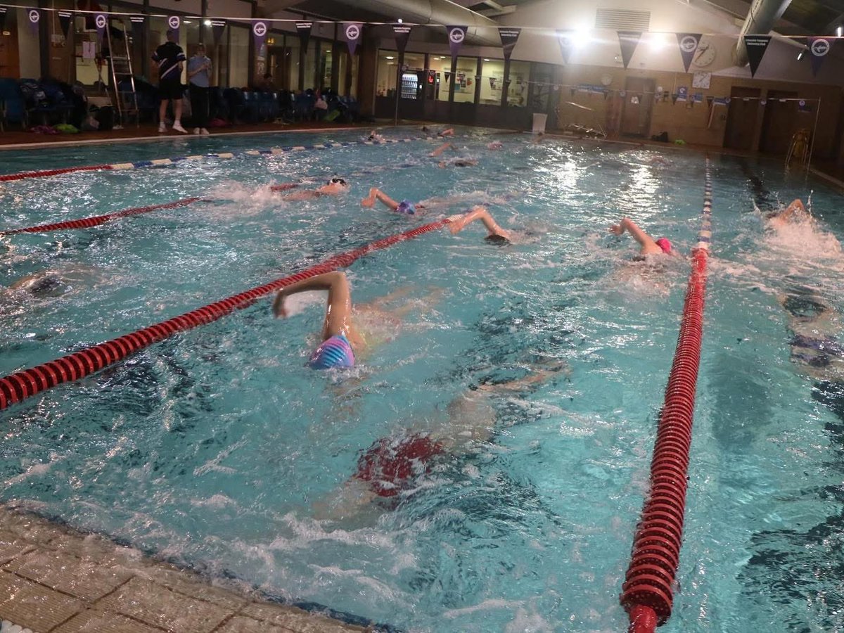 Leicester penguins tweet media