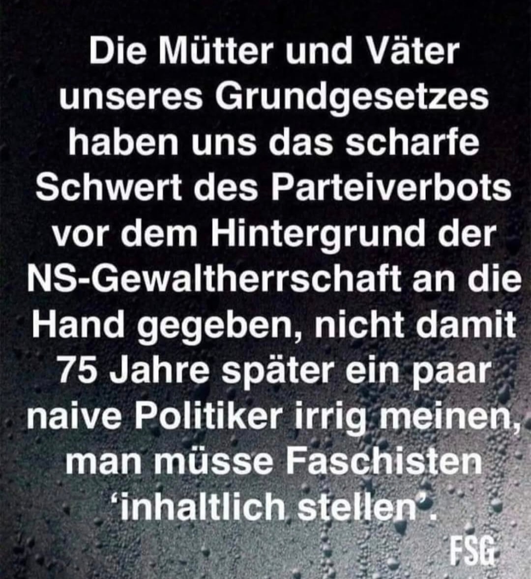 Stimmt.☝️
#AfDVerbot2025