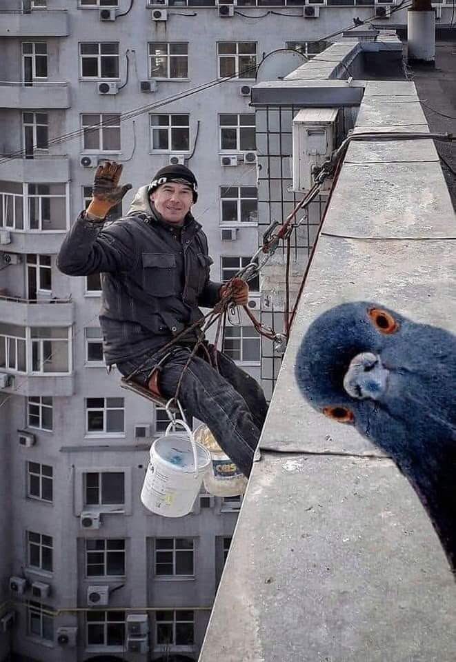 dominic dyer tweet media