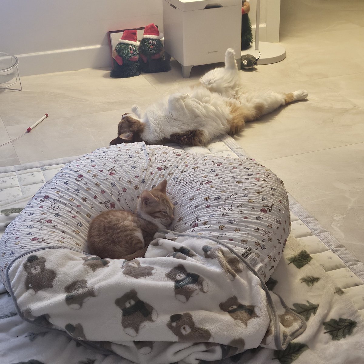 아가🩷와 아가(저씨)❤️