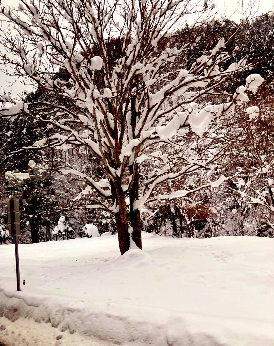 南部天體夫妻 tweet media