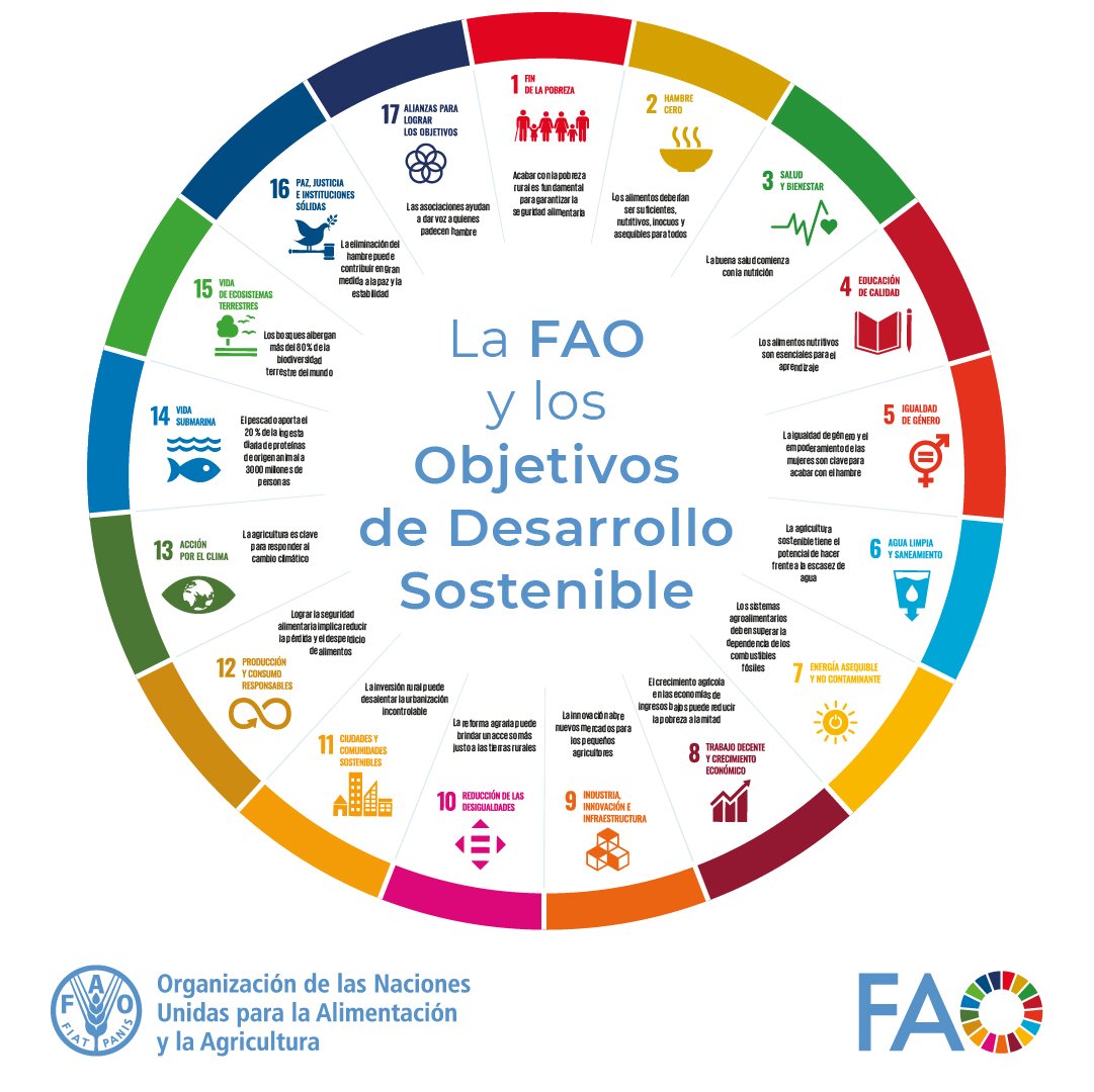 17 objetivos.
5 años para lograrlos.
1 futuro.

La alimentación y la agricultura son clave para lograr cada uno de los 17 #ODS. 

Descubre cómo contribuye la FAO al logro de un futuro mejor para todos👉 bit.ly/3vDab5Y