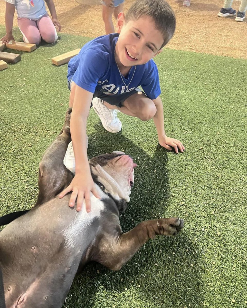 heister3136's tweet image. Puppy 🐶