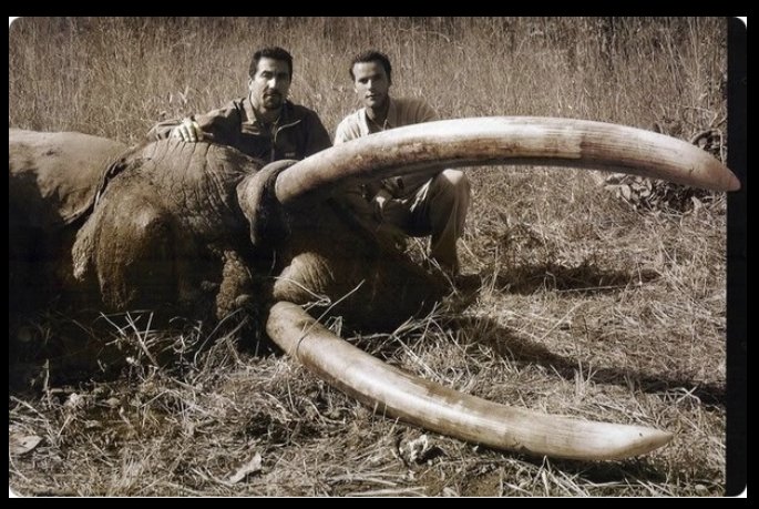 FrancFranssais's tweet image. Fallait le laisser ce tueur d&apos;animaux sauvages
#LucAlphand
#BanTrophyHunting
#ExposeTrophyHunting 
#AnimalTrophies
#StopAnimalCruelty
#StopKill4Fun
#AnimalsLivesMatter
#Bastards🤮🤮🤮
 #Murderers
#Slaughterers