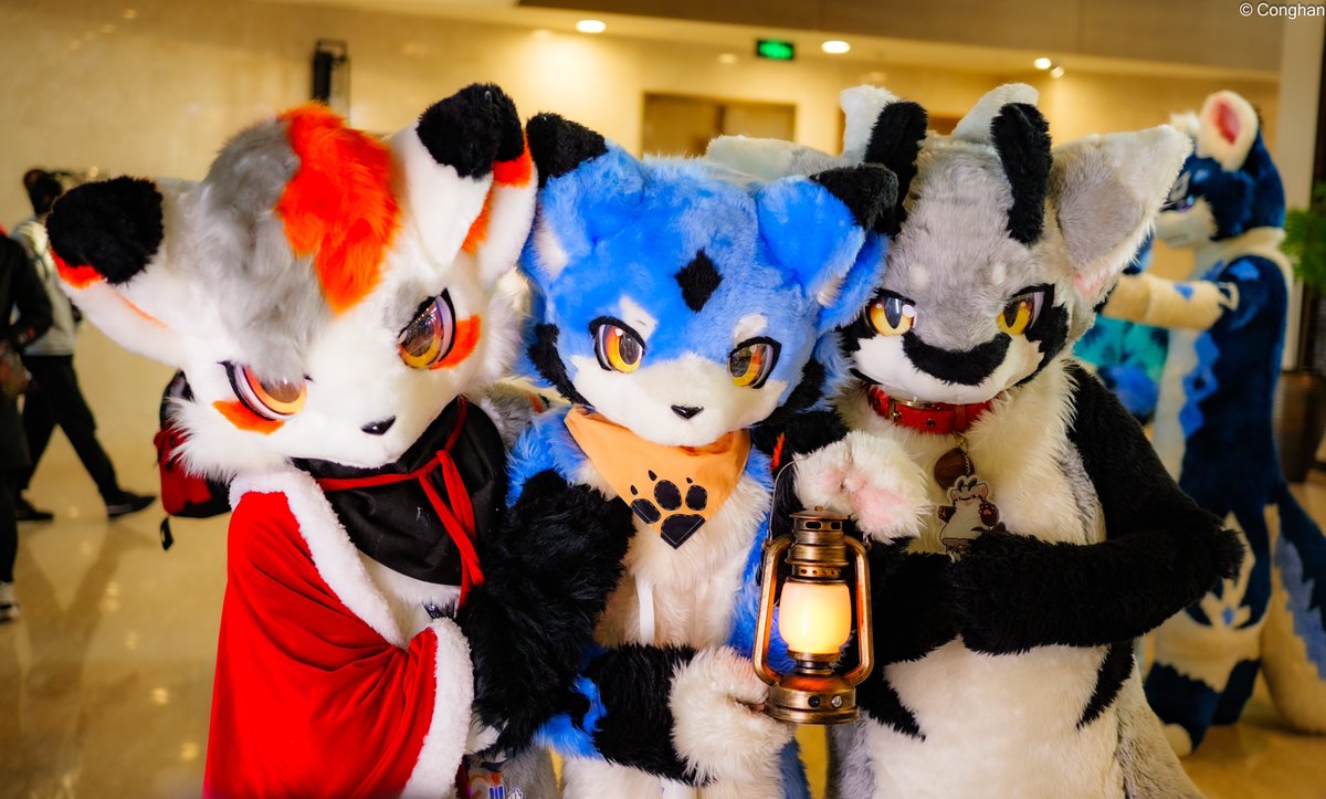 和我的朋友们啦～

#FursuitEveryday 
#冬兽聚2024

📸：<a href="/sama00340579/">从寒sama</a>