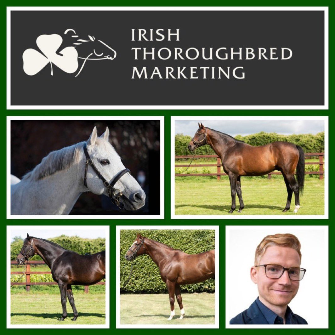 It was great to welcome <a href="/ACHorseRacing/">Alex Cairns</a> as our guest <a href="/nickluck/">Nick Luck</a> podcast earlier this week.
Alex chatted to Nick about next week’s <a href="/IREthoroughbred/">ITM</a> Stallion Trail which takes in over 30 farms on 10th &amp; 11th January 👉🏻 tinyurl.com/u2m4jy5u
Look to the Weatherbys Stallion Book,