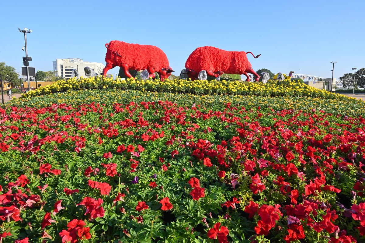 MumbaichaDon's tweet photo. Ahmedabad International Flower Show 2025 😍

Such shows not only celebrate nature’s beauty &amp; inspire awareness about sustainability, but also give a platform for local farmers, gardeners, and enthusiasts to showcase their creativity. https://t.co/WMO9WPMqRo