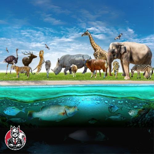 Did you know? 👀

Project Tiger: Launched in 1973, this is one of the largest conservation efforts aimed at protecting tigers and their habitats.

Wildlife Sanctuaries and National Parks: India has around 560 wildlife sanctuaries, 104 national parks and 18 biosphere reserves.