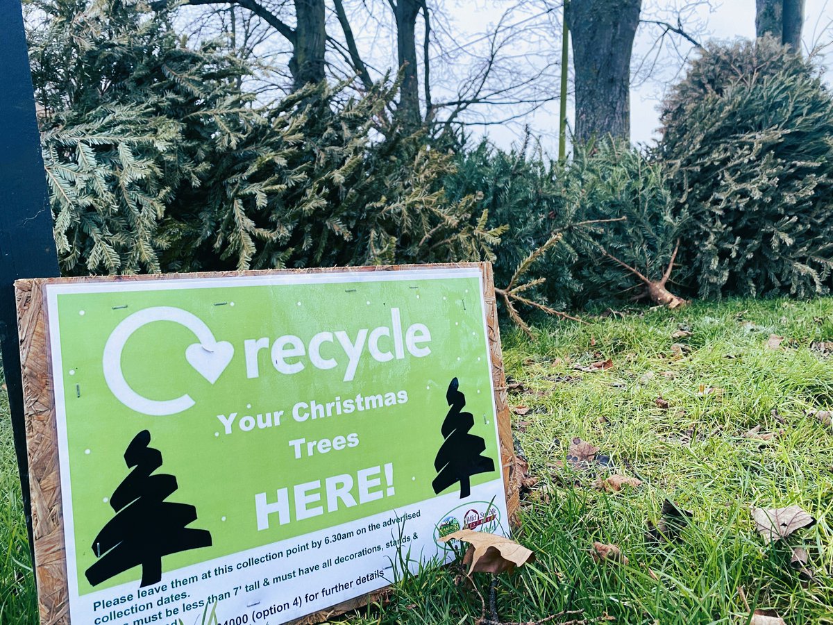 Free 🎄 #recycling throughout January:
🌲 Real trees only
📍 Leave at a collection point or...
📆 Beside your garden bin
🎄 Larger than 7ft tall or broken artificial? Head to a Suffolk Recycling Centre
🎅 Find collection points by searching 'Christmas collections' on our website