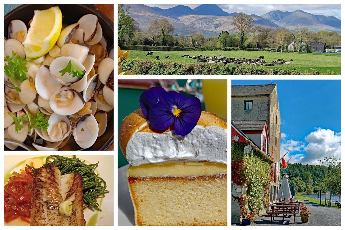 Billy Lyons (@corkbilly) on Twitter photo Memorable dishes from 2024. Cork, Carlow, Galway, Kerry, Waterford and Wexford <a href="/market_lane/">Market Lane</a> <a href="/The_VQ_Cork/">the VQ</a> <a href="/Greenescork/">Greenes Restaurant</a> <a href="/gallagherscork/">Gallaghers Cork</a> <a href="/MetropoleCork/">The Metropole Hotel Cork</a> <a href="/damircocork/">da Mirco Osteria</a> <a href="/k_fishmonger/">K O'Connell's Fishmonger</a> <a href="/EnglishMarket/">The English Market</a> <a href="/monkslane/">monkslane</a> <a href="/Garryvoehotel/">Garryvoe Hotel</a> <a href="/LaCoteWexford/">La Côte</a> <a href="/cornstore_cork/">Cornstore Restaurant</a> #Farol corkbilly.com/2025/01/memora… Memorable dishes from 2024. Cork, Carlow, Galway, Kerry, Waterford and Wexford <a href="/market_lane/">Market Lane</a> <a href="/The_VQ_Cork/">the VQ</a> <a href="/Greenescork/">Greenes Restaurant</a> <a href="/gallagherscork/">Gallaghers Cork</a> <a href="/MetropoleCork/">The Metropole Hotel Cork</a> <a href="/damircocork/">da Mirco Osteria</a> <a href="/k_fishmonger/">K O'Connell's Fishmonger</a> <a href="/EnglishMarket/">The English Market</a> <a href="/monkslane/">monkslane</a> <a href="/Garryvoehotel/">Garryvoe Hotel</a> <a href="/LaCoteWexford/">La Côte</a> <a href="/cornstore_cork/">Cornstore Restaurant</a> #Farol corkbilly.com/2025/01/memora…