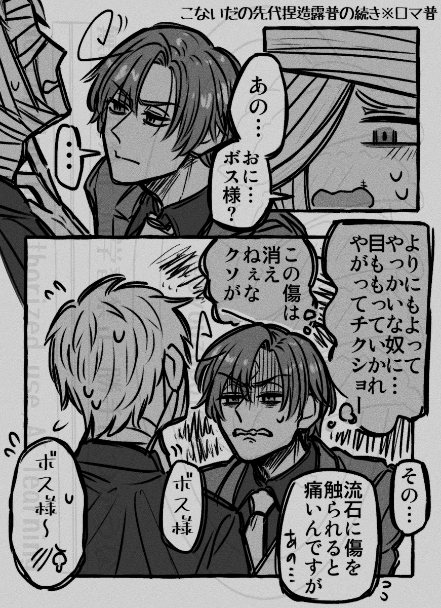 先代捏造露普の続き
※ロマ普
※露はいない 