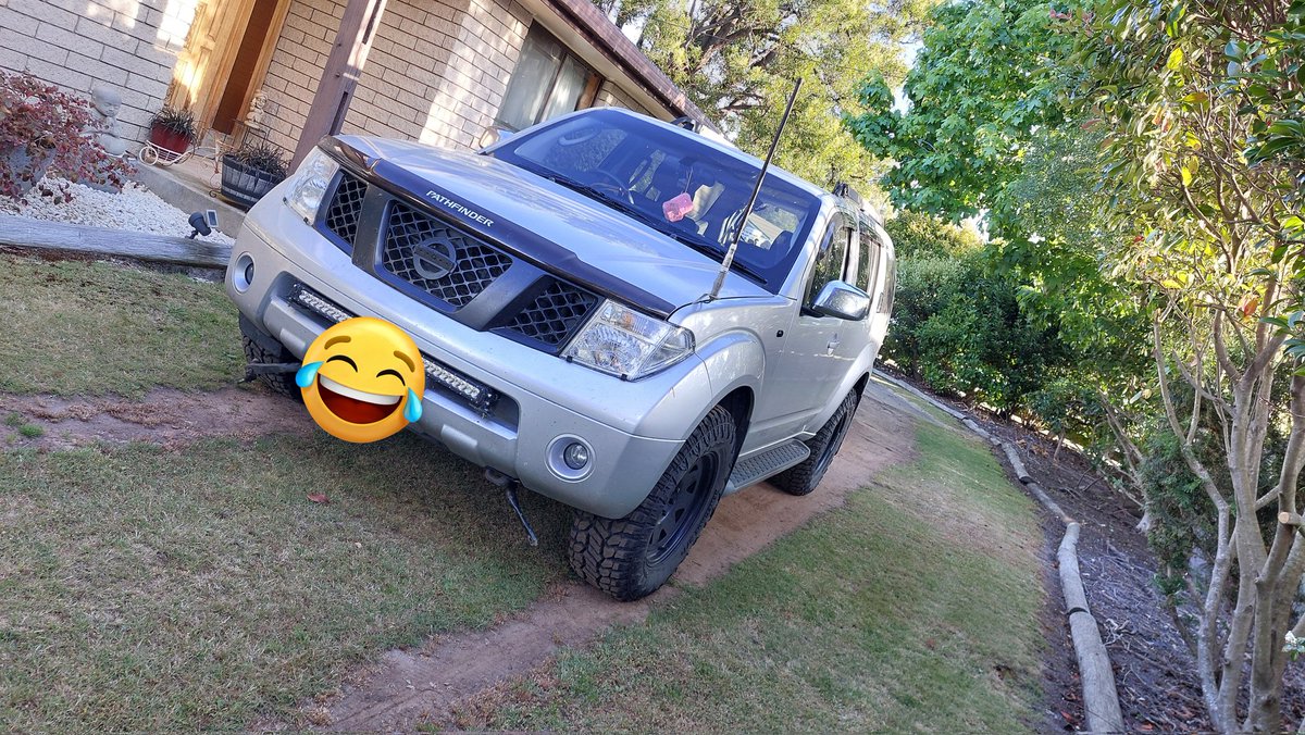 NikoDaFloof tweet media