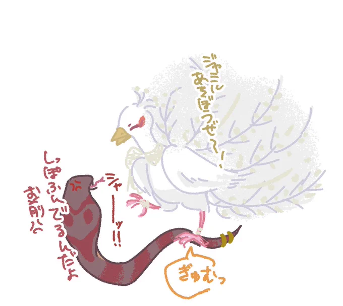 カリジャミの力関係 