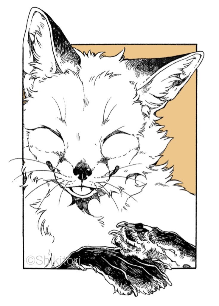 🦊寒いならはさまっていきなよ🦊 