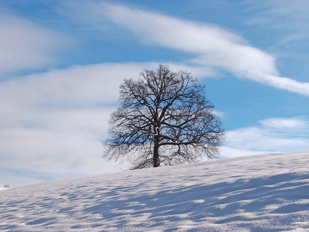 Arbeite, als würdest du das Geld nicht brauchen. Liebe, als hätte dich nie jemand verletzt. Tanze, als würde niemand zusehen. Singe, als würde niemand zuhören. Lebe, als wäre der Himmel auf Erden. Mark Twain