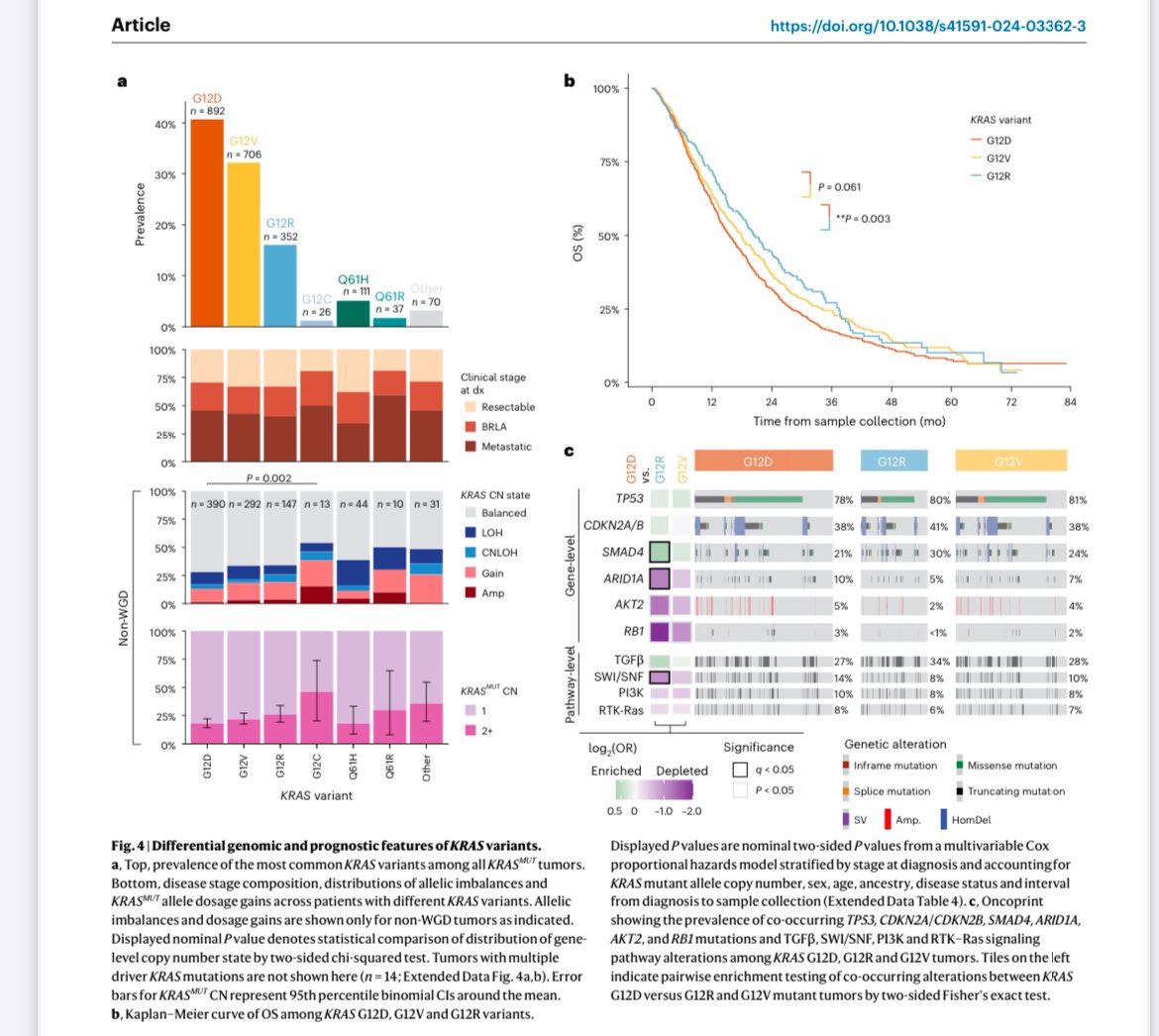 Erman Akkus tweet media