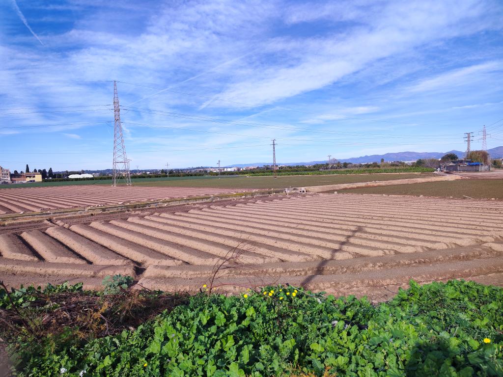 Pau Company 💻🖥️🛡️Paz y Amor 🕊️ tweet media