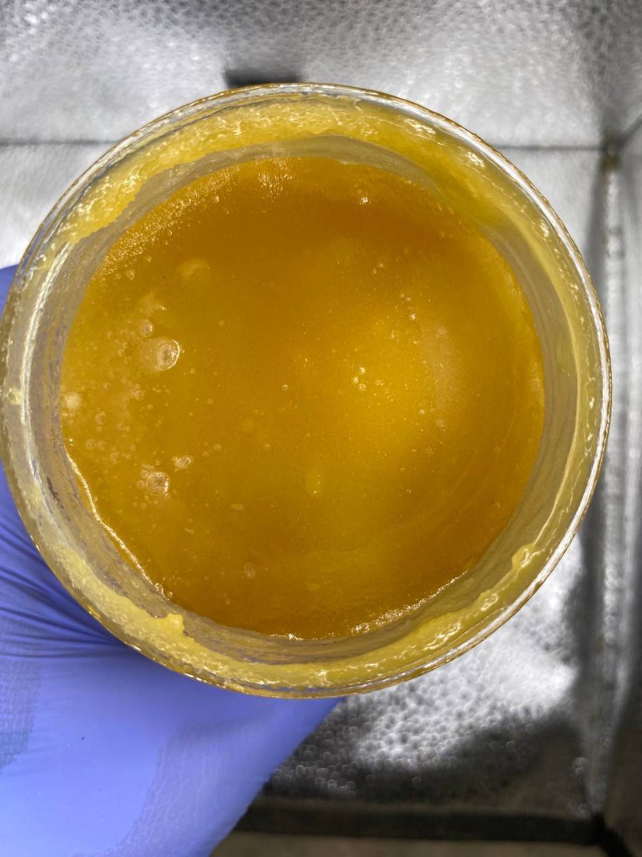 #California_honey

lmk on discord 👇 
discord.gg/vcT5mfgjqf