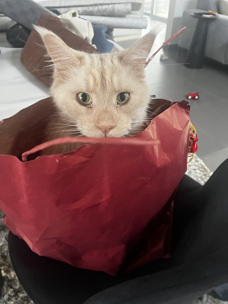 Wij zijn Tippz kwijt 😱