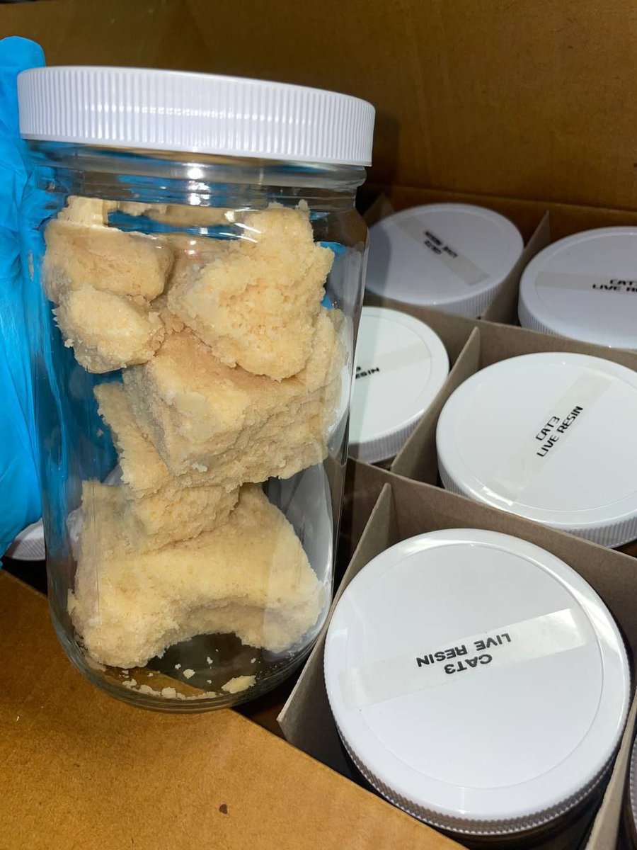 #White_Crumble

Hmu on discord 👇 
discord.gg/vcT5mfgjqf