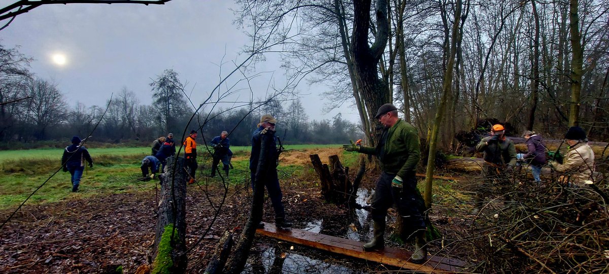 Vrijwillig Landschapsbeheer Uden in actie (vlu) op kooldert.
Al tientallen jaren zetten ze de Zwarte Elzen en Knotwilgen af.
Een mooi begin van 2025
#Hakhoutbeheer  <a href="/staatsbosbeheer/">Staatsbosbeheer</a> @Volkel