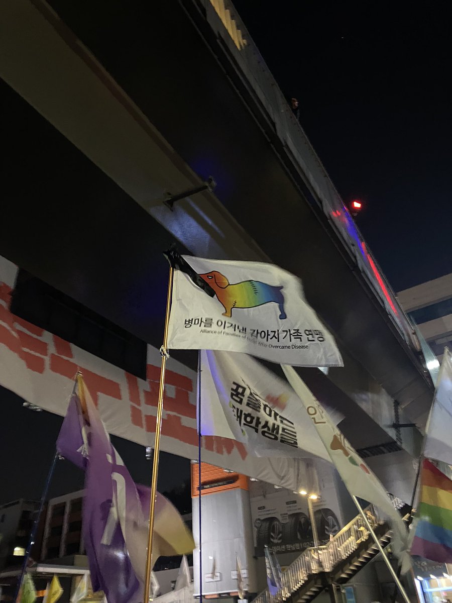 한강진에서 이 깃발 보고 울뻔함