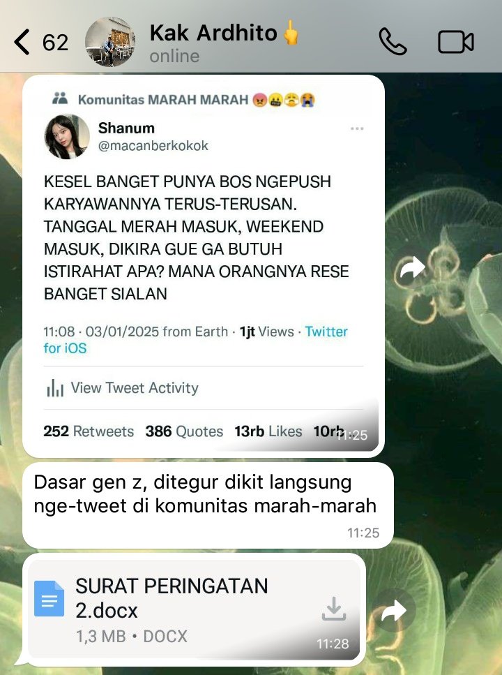 🍓 tweet media