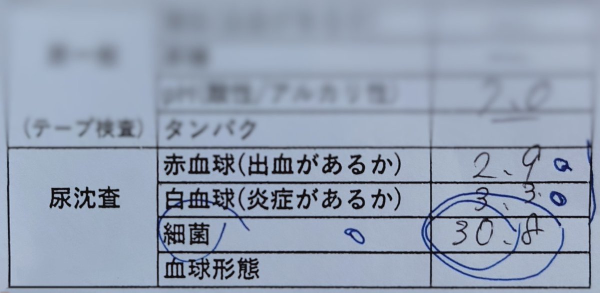 実は正月から膀胱炎だったんだけど何か質問ある？