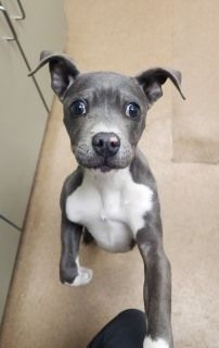 Lisa Brabson. tweet media