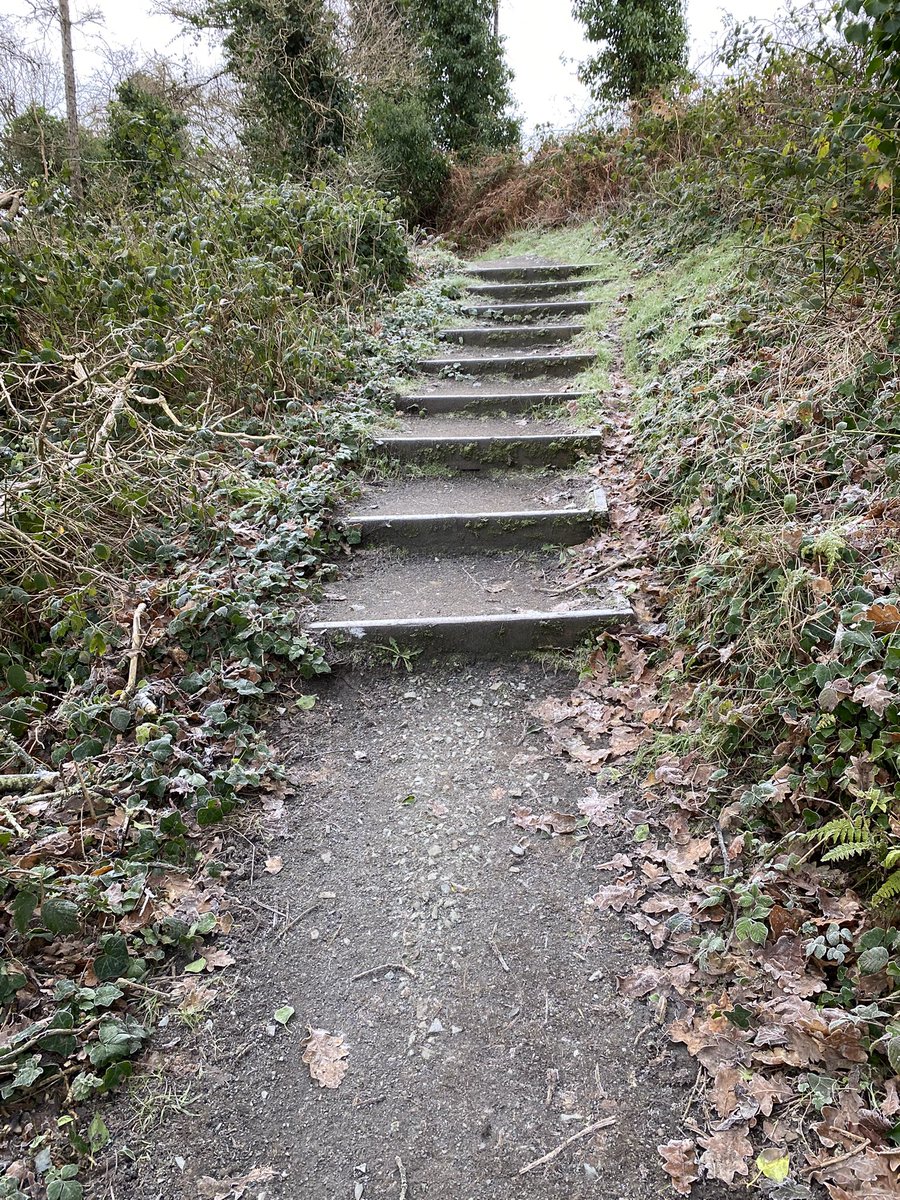 Colm Faulkner tweet media