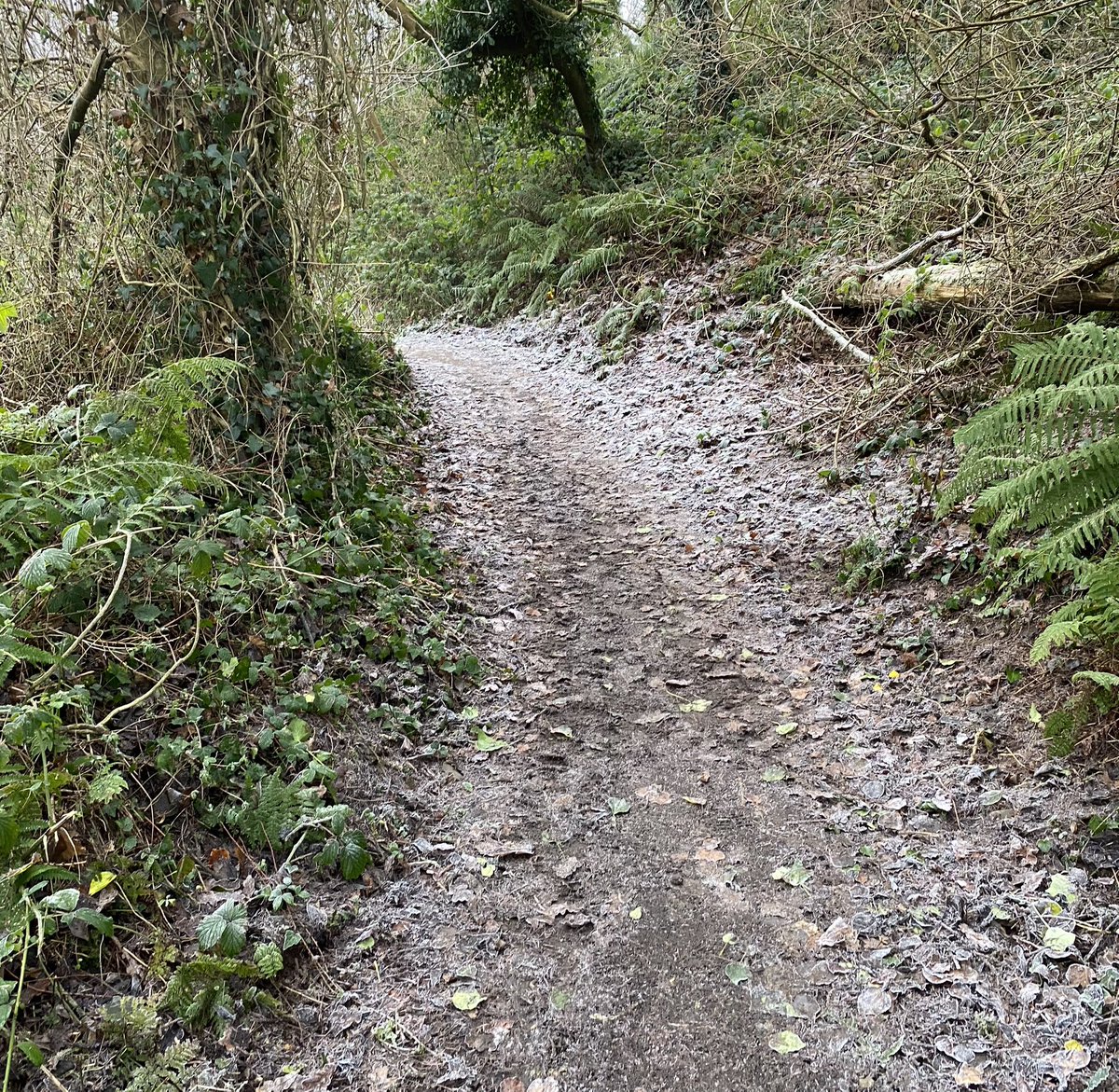 Colm Faulkner tweet media