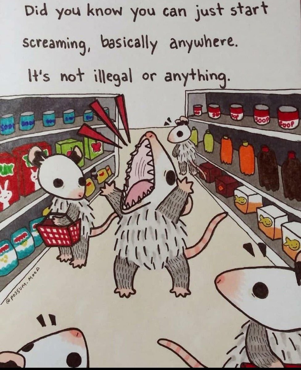 ADHD Memes tweet media