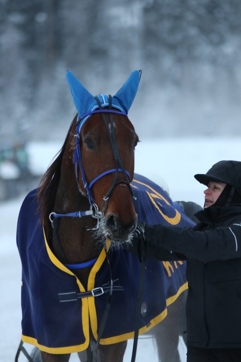 Jokimaanravit's tweet photo. Krafft Hevosrehut lähdön voittaja Night Snowstorm ja Ville Tonttila
#ravit #jokimaanravit #lahti https://t.co/oJGKaSFDzg