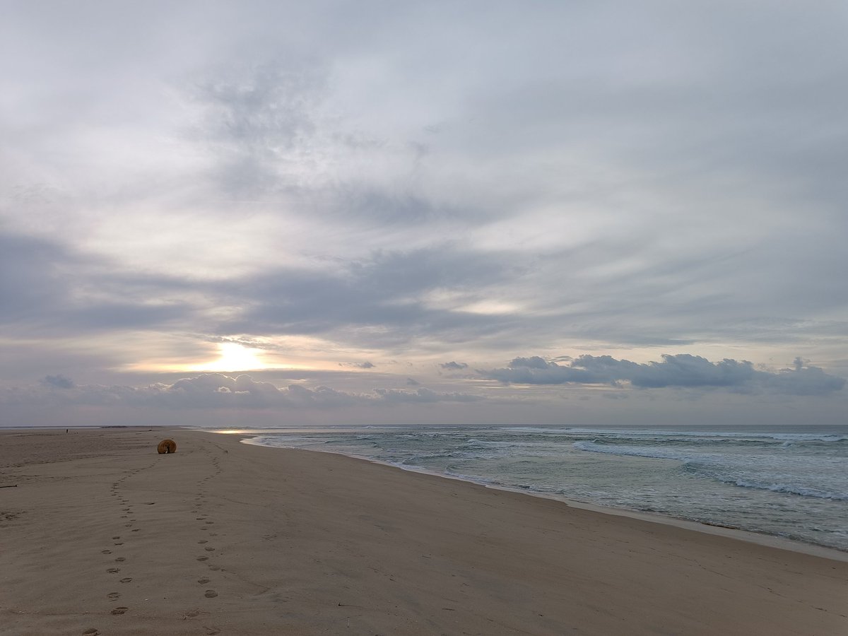 jjassociatesYin's tweet photo. Then there was light and surf
#beachwalk
#healthyoption #keepfitgoals https://t.co/f512wWHwMu
