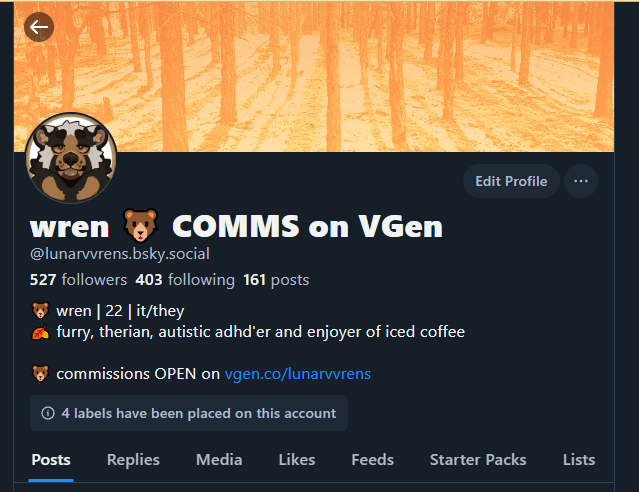 lunarvvrens's tweet photo. Hiii reminder that I'm way more active on the Other Site https://t.co/wqdnHdUmDK