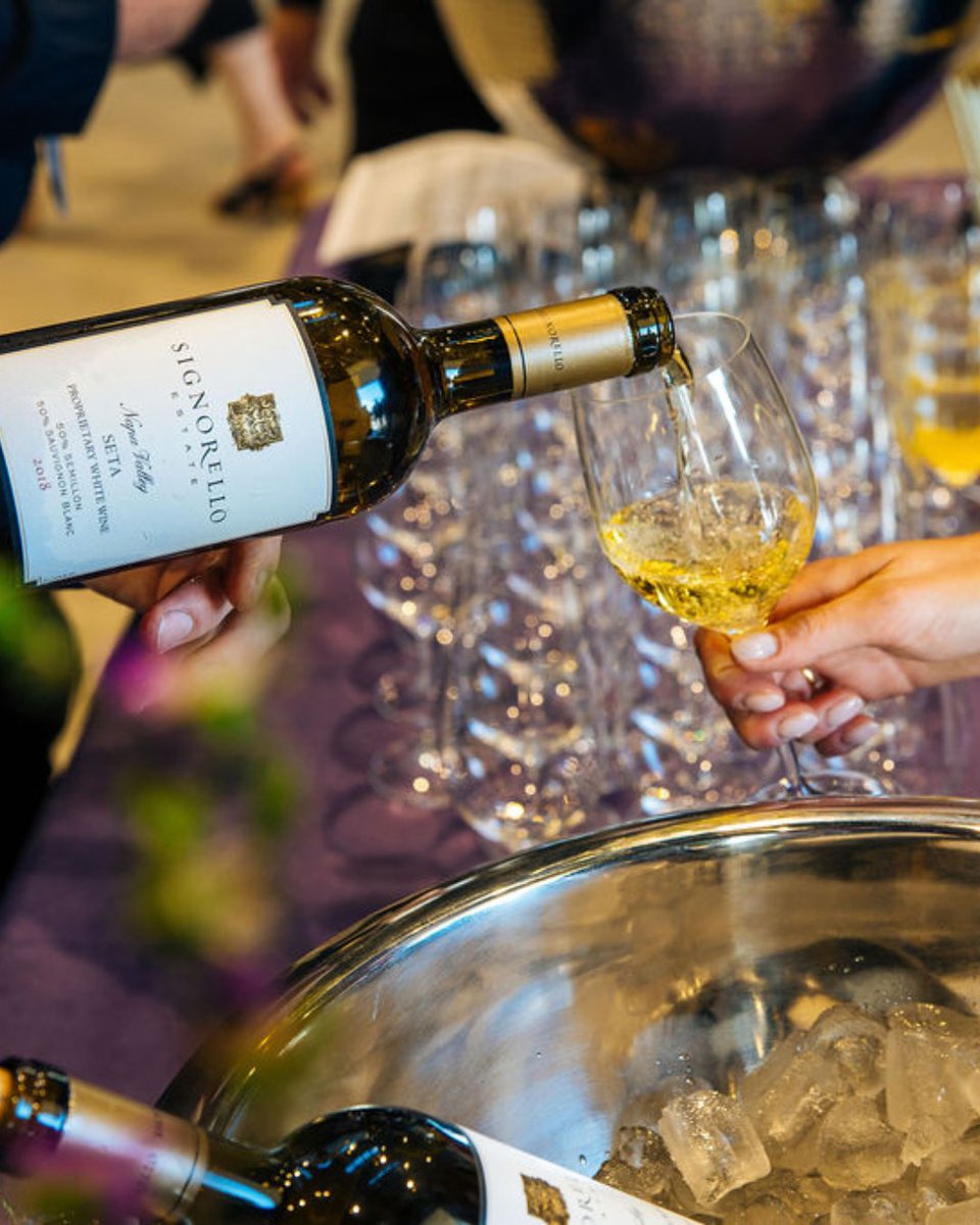 Cheers to great wine, sipping on a Saturday and indulging in the Napa Valley experience🥂 #Chardonnay #SignorelloEstate #NapaValley