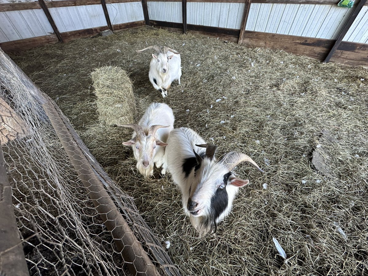 #BedDownBeforeTheStorm #StayReady