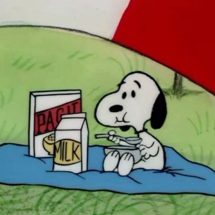 checosnoopy11's tweet photo. 🥣😉 https://t.co/kwlohiJ0TF