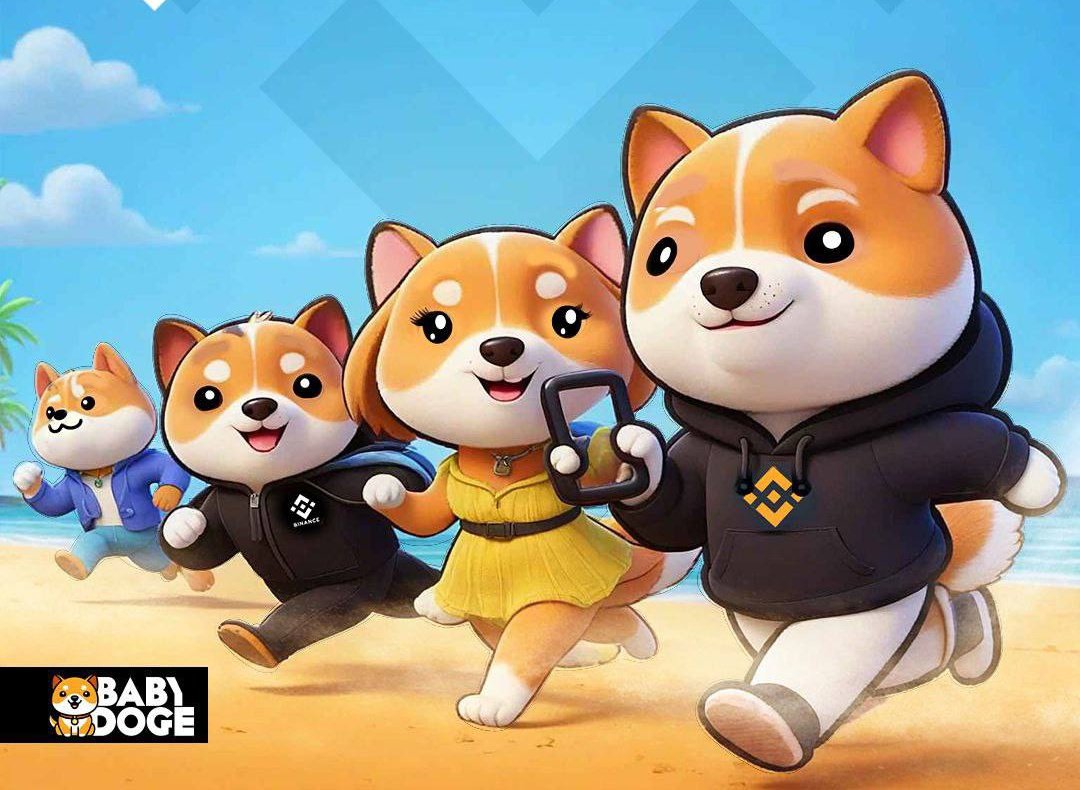 BabyDogehub tweet media