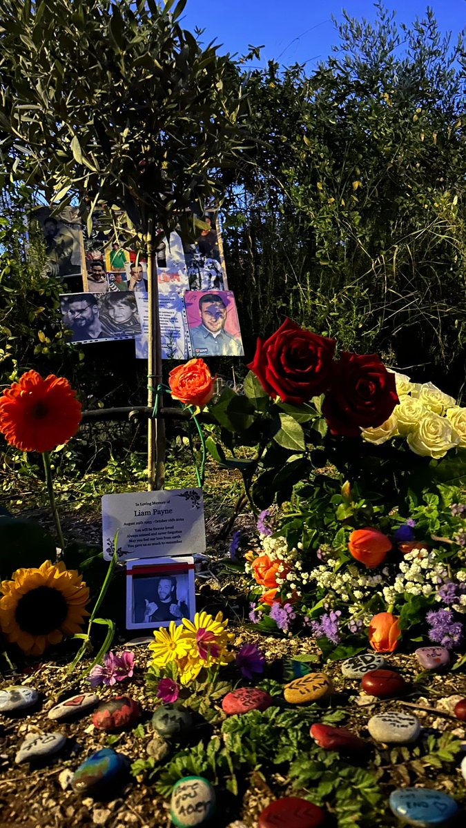 We promised you months ago that we would create a stable place where we could remember Liam in every moment of our lives. Today this happened thanks to all of you, our Rametto is also yours now. Take care of it!
Liam, you will be forever loved
Always missed and never forgotten🤍