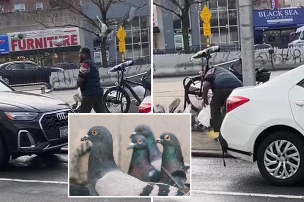 NYC halal food cart worker caught catching pigeon with bare hands: ‘Beyond disgusted’ trib.al/fAPwmM5